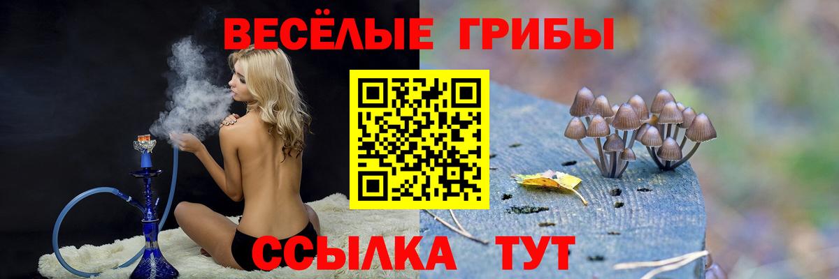Псилоцибиновые грибы ЛСД  Вход с VPN  Старая Русса 